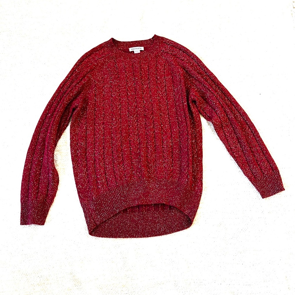 Never been worn athlete holiday non itchy sweater
